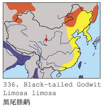 黑尾塍鹬的地理分布图