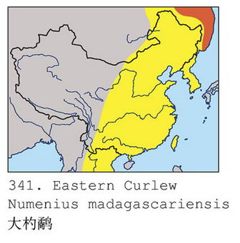 大杓鹬的地理分布图