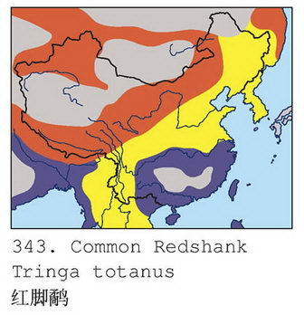 红脚鹬的地理分布图