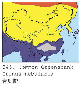 青脚鹬的地理分布图