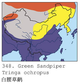 白腰草鹬的地理分布图