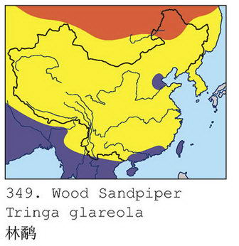 林鹬的地理分布图
