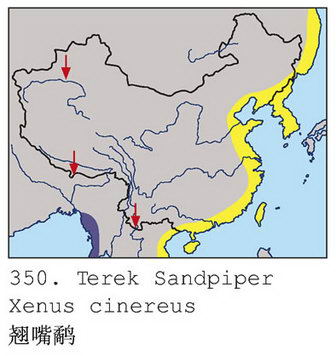 翘嘴鹬的地理分布图