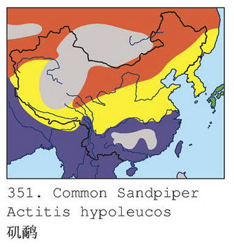 矶鹬的地理分布图