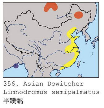 半蹼鹬的地理分布图