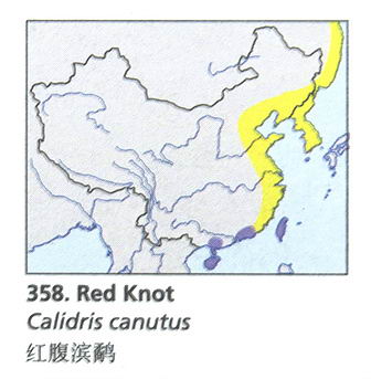 红腹滨鹬的地理分布图