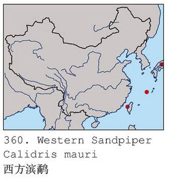 西方滨鹬的地理分布图