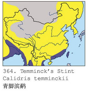 青脚滨鹬的地理分布图