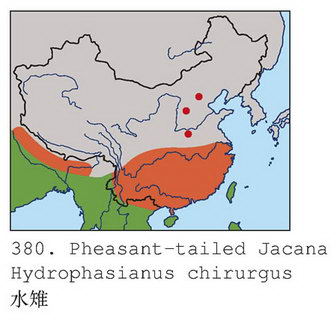 水雉的地理分布图