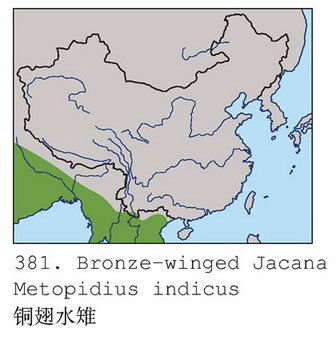 铜翅水雉的地理分布图