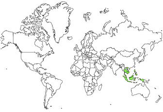 马来鸻的地理分布图