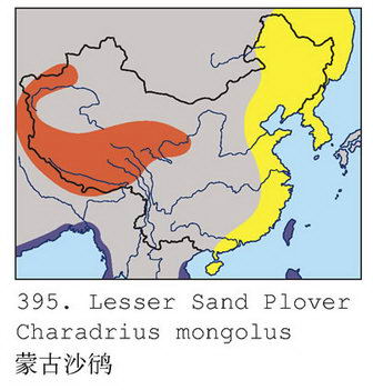 蒙古沙鸻的地理分布图