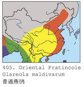 普通燕鸻的地理分布图