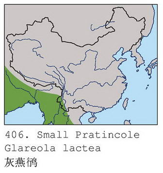 灰燕鸻的地理分布图