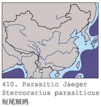 短尾贼鸥的地理分布图