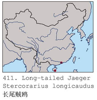 长尾贼鸥的地理分布图