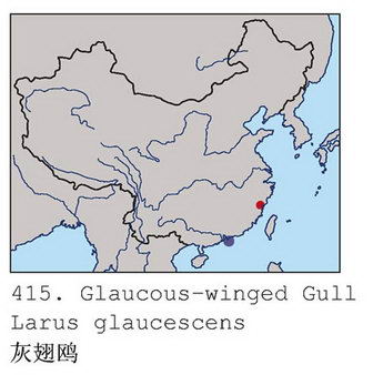 灰翅鸥的地理分布图