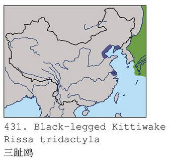 三趾鸥的地理分布图