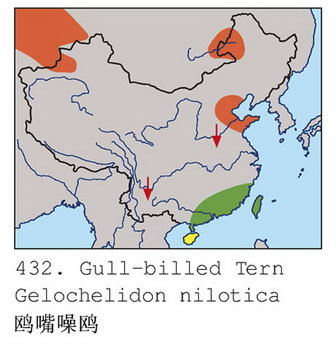 鸥嘴噪鸥的地理分布图