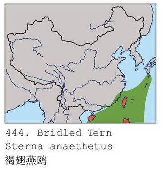 褐翅燕鸥的地理分布图