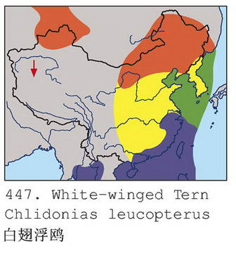 白翅浮鸥的地理分布图