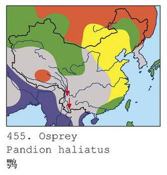 鹗的地理分布图