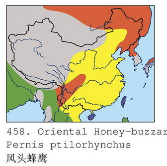 凤头蜂鹰的地理分布图