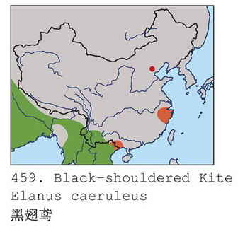 黑翅鸢的地理分布图