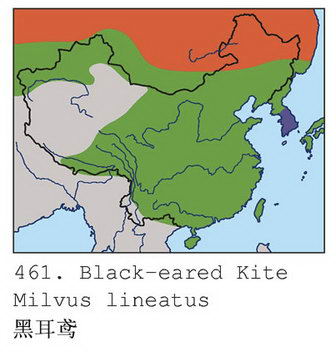 黑耳鸢的地理分布图