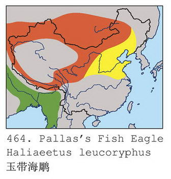 玉带海雕的地理分布图