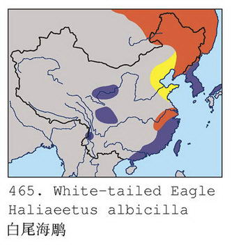 白尾海雕的地理分布图