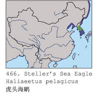 虎头海雕的地理分布图