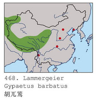 胡兀鹫的地理分布图