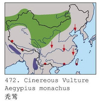 秃鹫的地理分布图