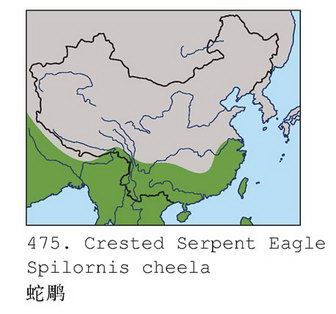 蛇雕的地理分布图