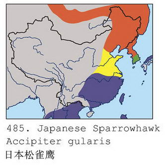 日本松雀鹰的地理分布图