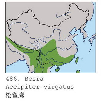 松雀鹰的地理分布图