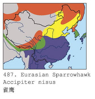 雀鹰的地理分布图