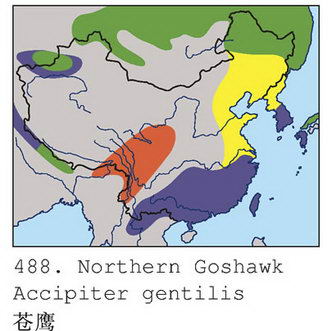 苍鹰的地理分布图