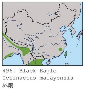 林雕的地理分布图