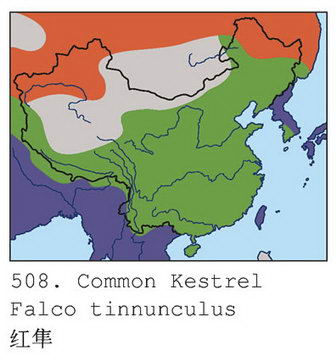 红隼的地理分布图