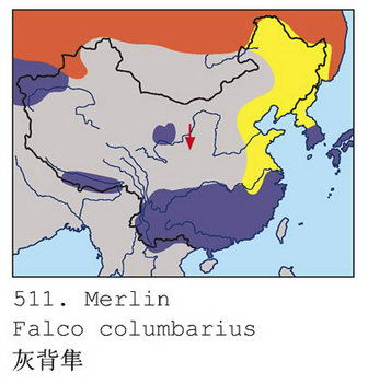 灰背隼的地理分布图