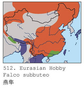 燕隼的地理分布图