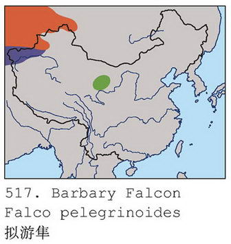 拟游隼的地理分布图