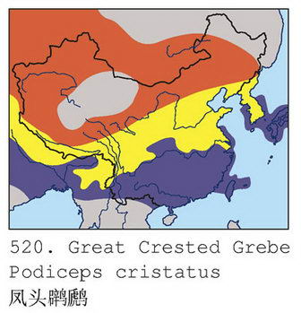 凤头鸊鷉的地理分布图