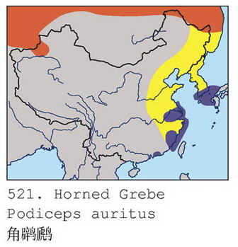 角鸊鷉的地理分布图