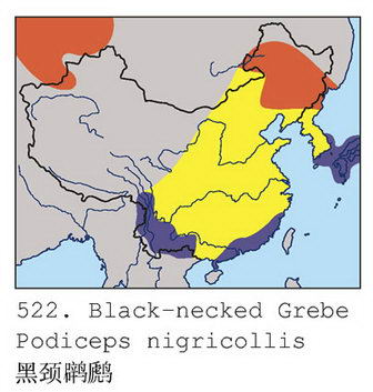 黑颈鸊鷉的地理分布图