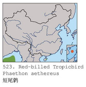 短尾鹲的地理分布图