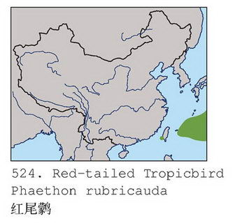 红尾鹲的地理分布图
