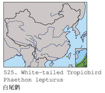 白尾鹲的地理分布图